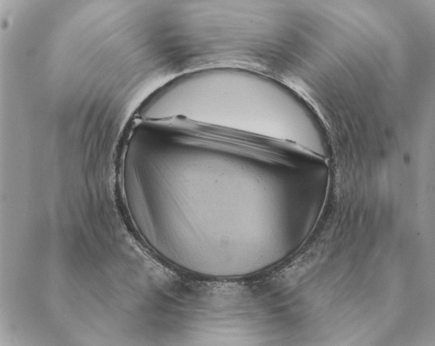 X0000088831024200707051417