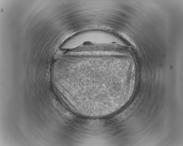 X0000088831025200707051417