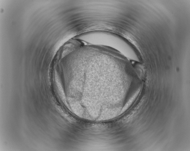 X0000088831026200707051417