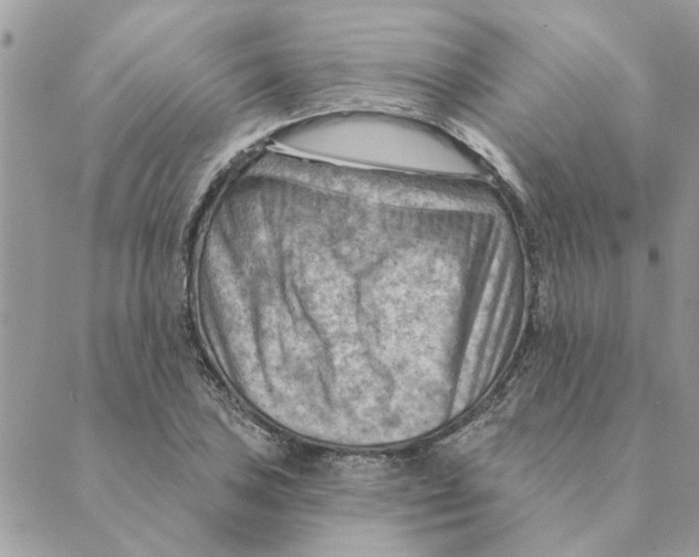 X0000088831027200707051417