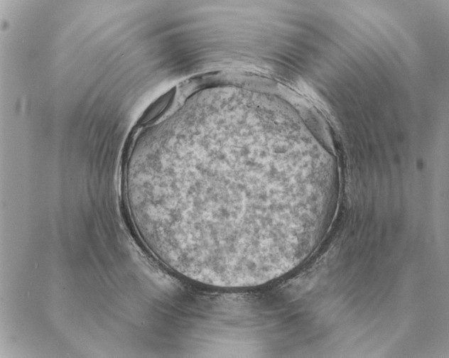 X0000088831028200707051417