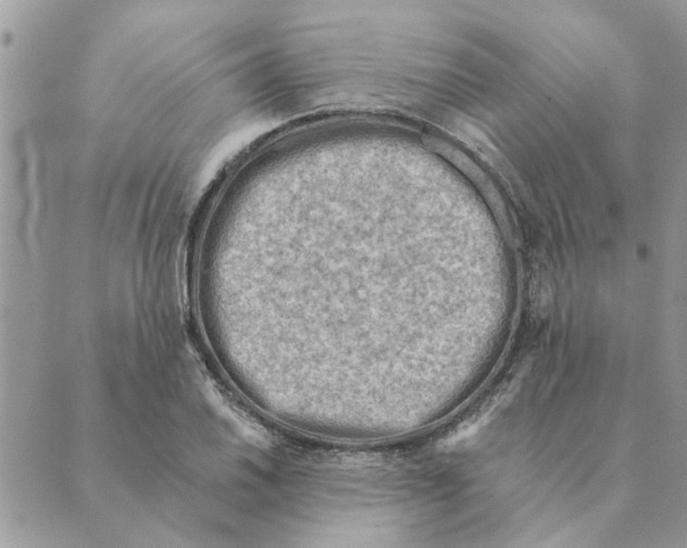 X0000088831030200707051417