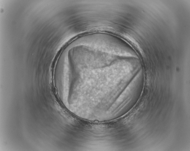 X0000088831031200707051417