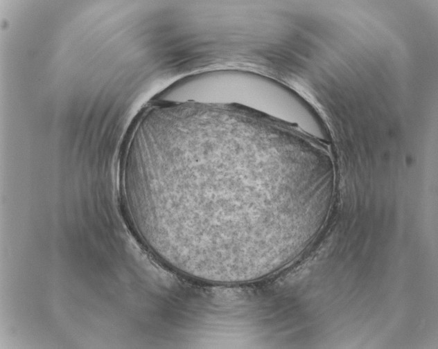 X0000088831032200707051417