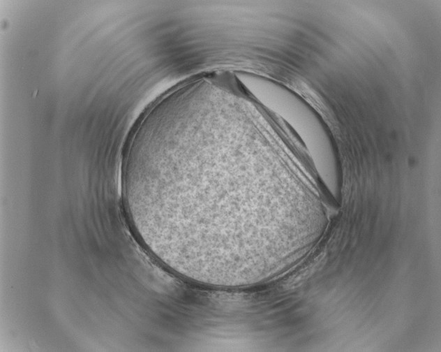 X0000088831036200707051417