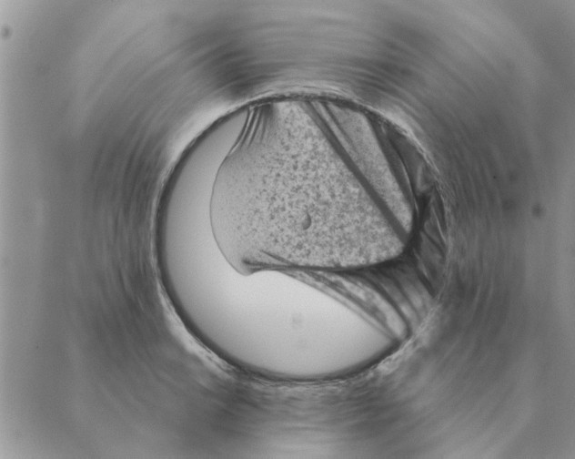 X0000088831038200707051417