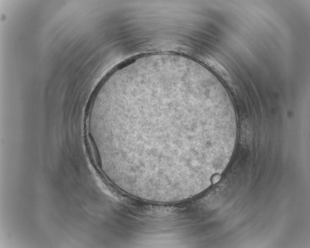 X0000088831039200707051417