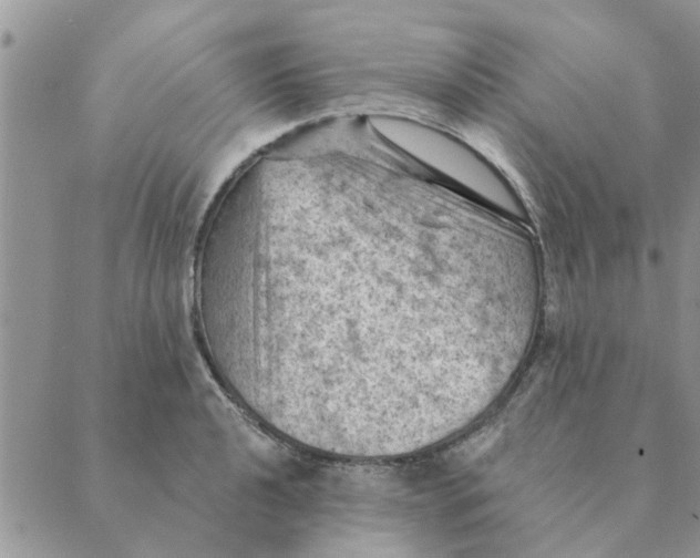 X0000088831040200707051417