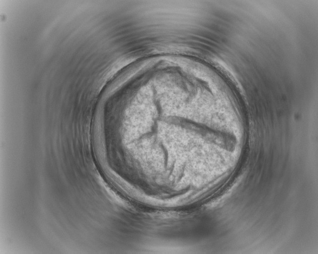 X0000088831041200707051417