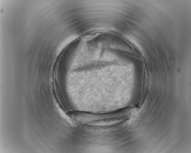 X0000088831042200707051417