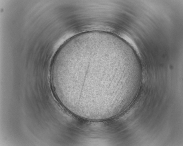 X0000088831043200707051417