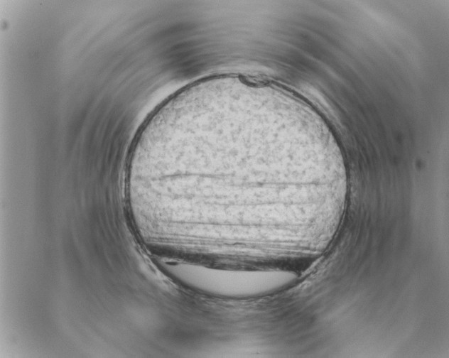 X0000088831044200707051417