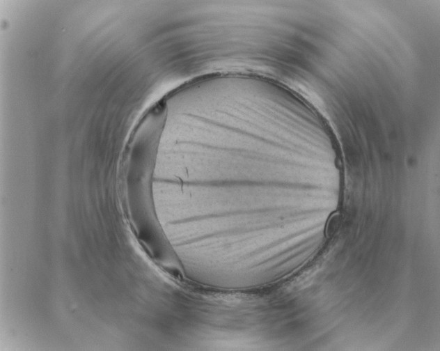 X0000088831045200707051417