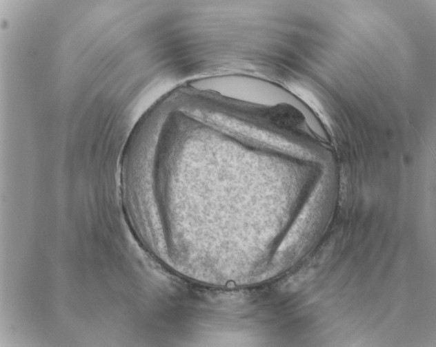 X0000088831047200707051417