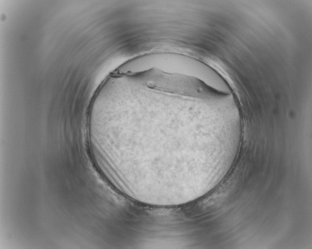 X0000088831048200707051417