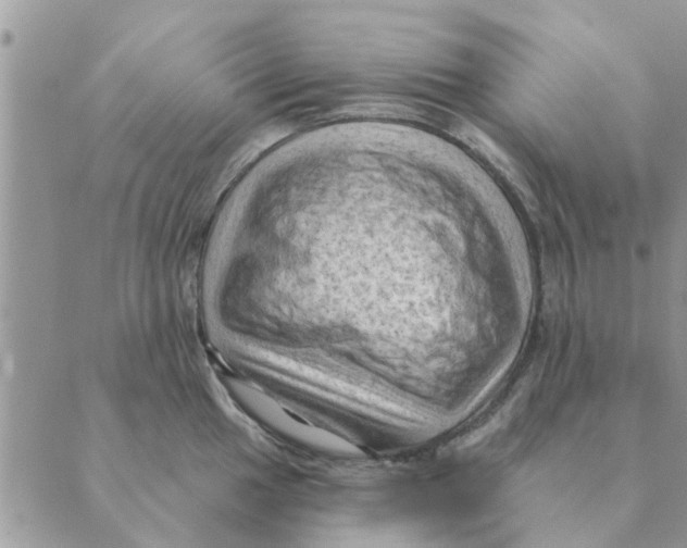 X0000088831049200707051417