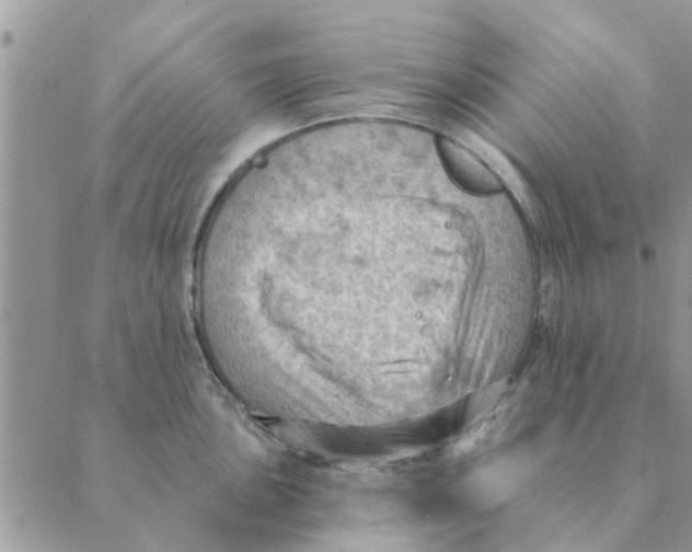 X0000088831051200707051417