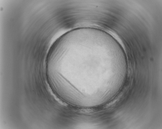 X0000088831053200707051417