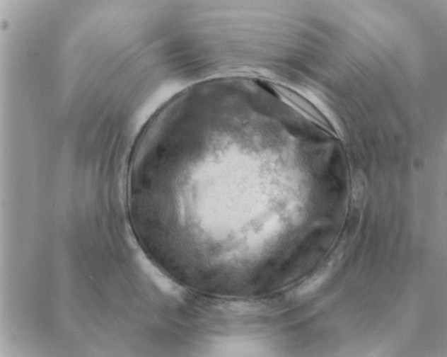 X0000088831054200707051417