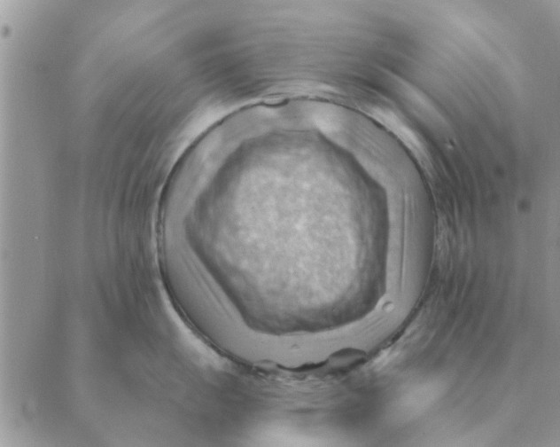 X0000088831055200707051417