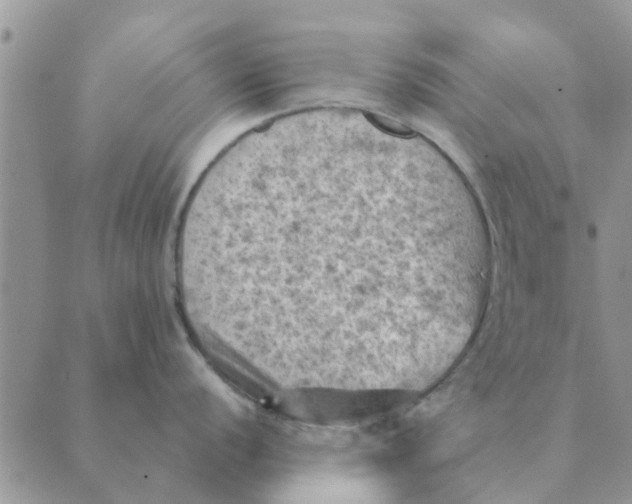 X0000088831056200707051417