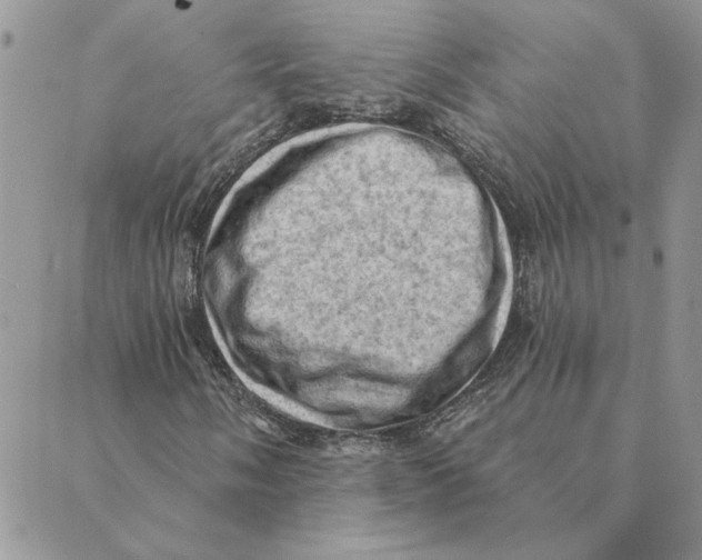 X0000088831058200707051416