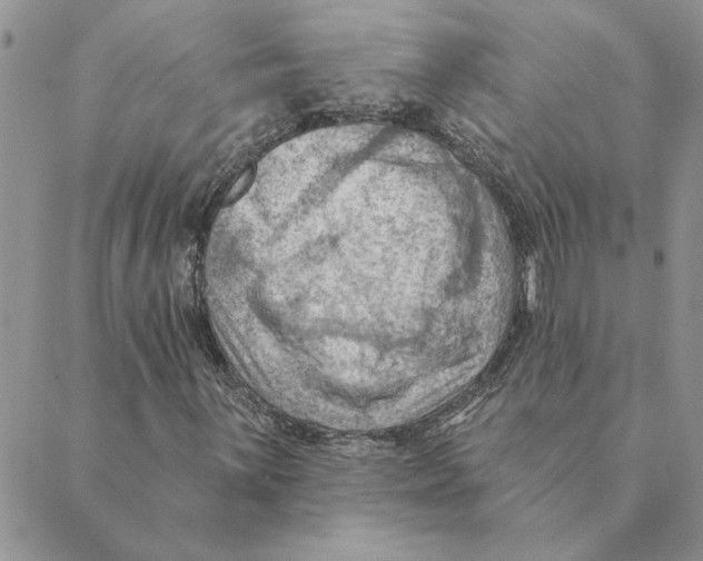 X0000088831059200707051416