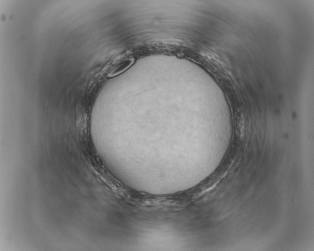 X0000088831061200707051416