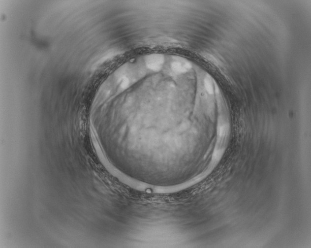 X0000088831063200707051416