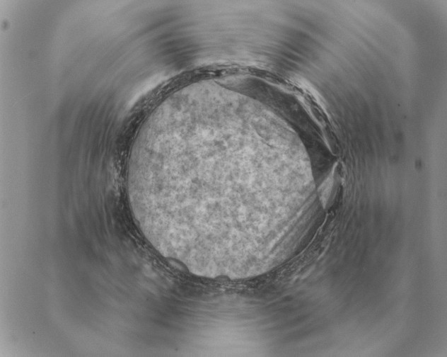 X0000088831064200707051416