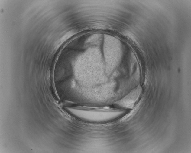 X0000088831065200707051416