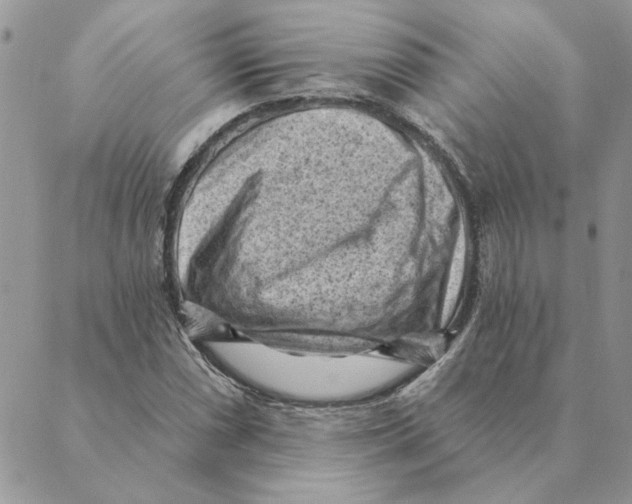 X0000088831066200707051416