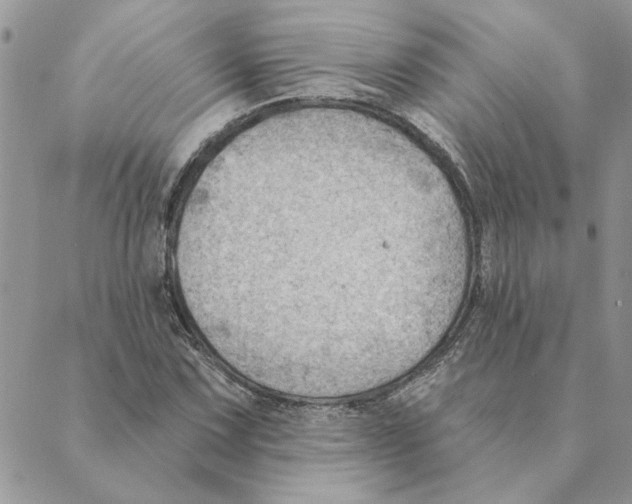 X0000088831067200707051416