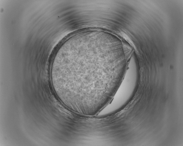 X0000088831068200707051416