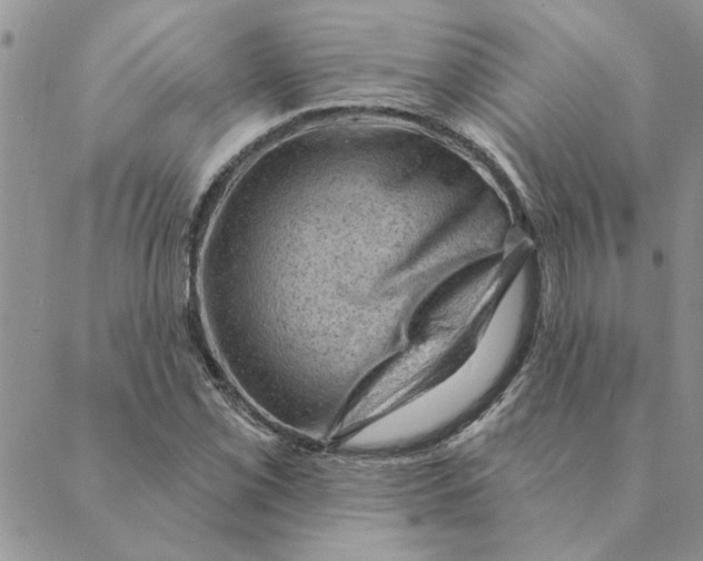 X0000088831069200707051416