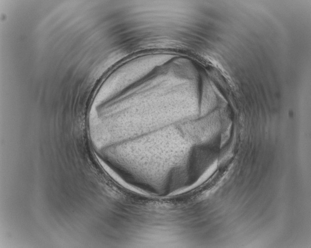 X0000088831073200707051416