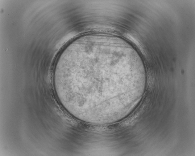 X0000088831074200707051416