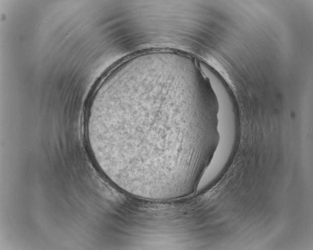 X0000088831076200707051416