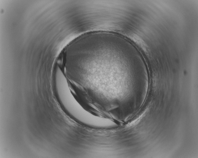 X0000088831077200707051416