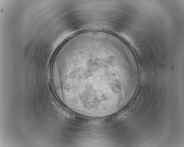 X0000088831078200707051416