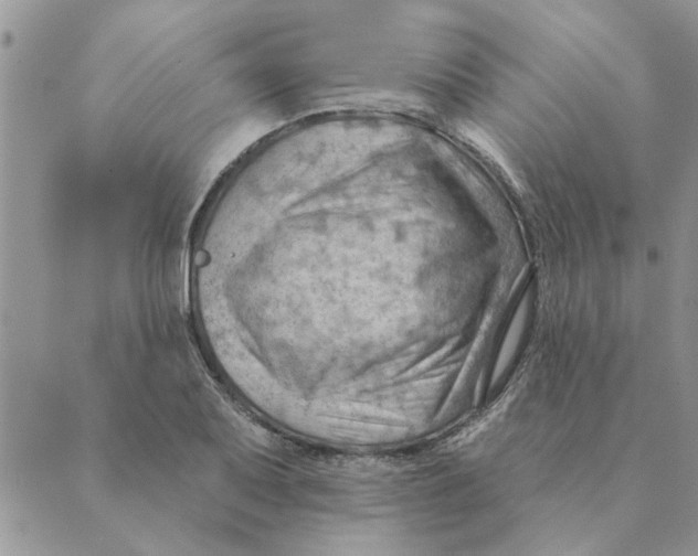 X0000088831079200707051416