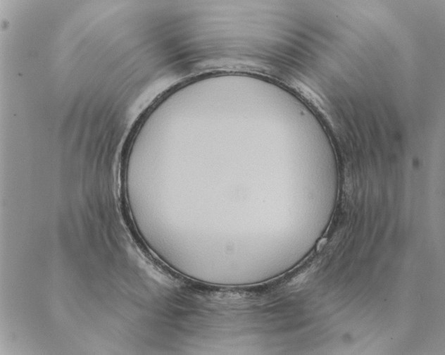 X0000088831082200707051416