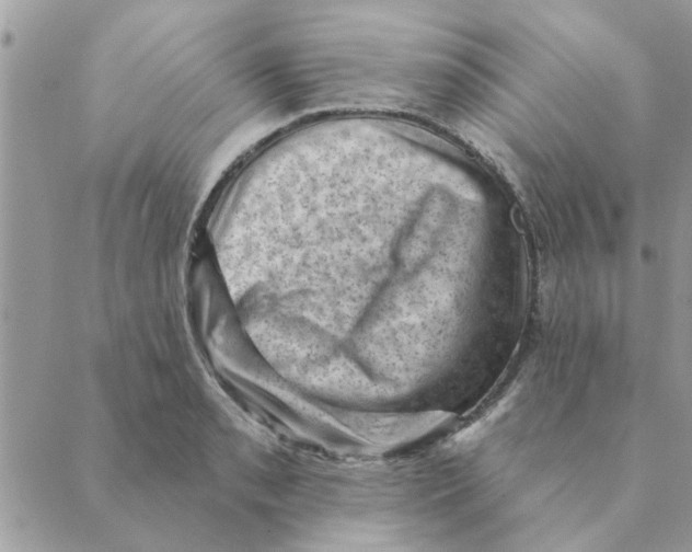 X0000088831085200707051416