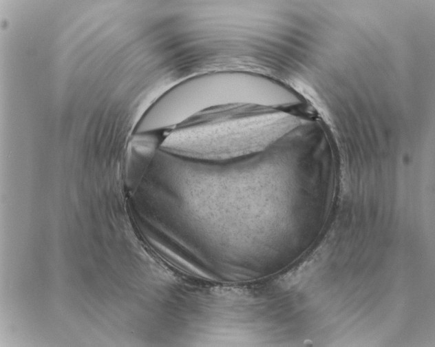 X0000088831089200707051416