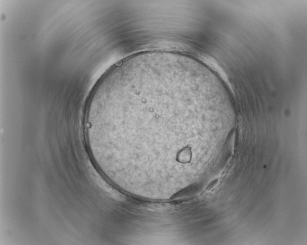 X0000088831091200707051416