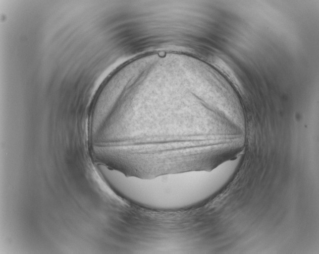 X0000088831092200707051416