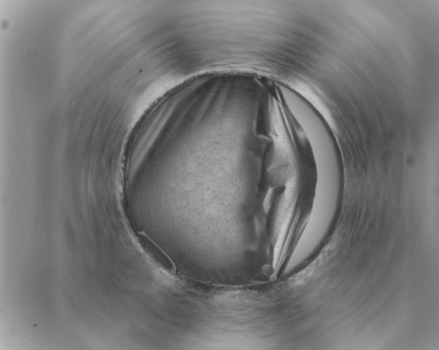 X0000088831093200707051416