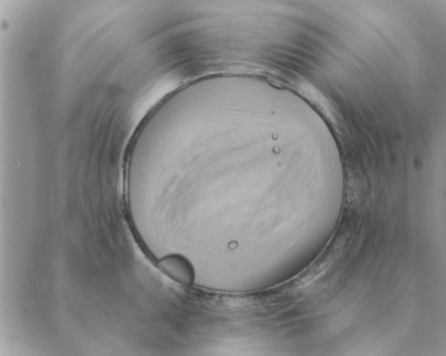 X0000088831095200707051416