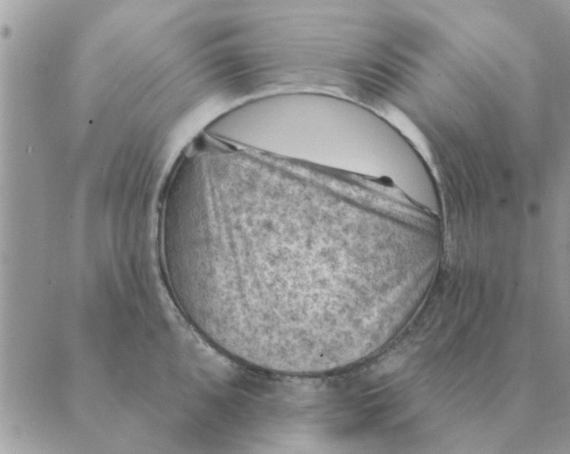 X0000088831096200707051416