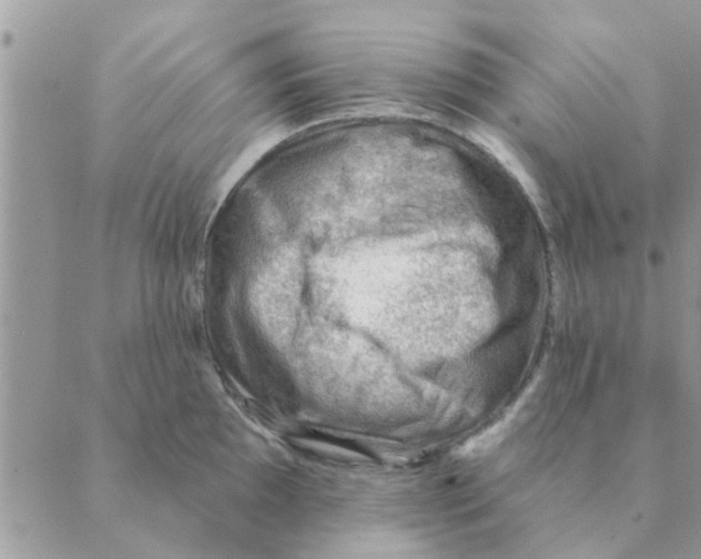 X0000088831097200707051416